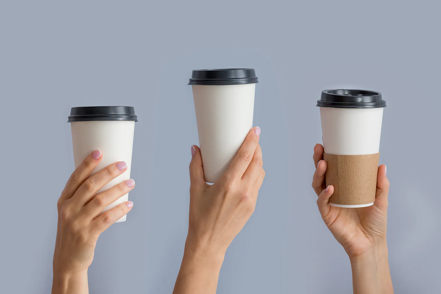 Hot Paper Cup