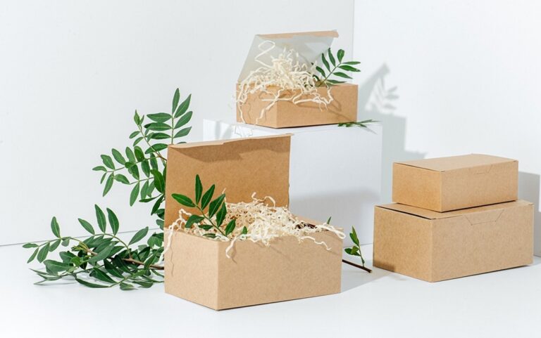 Compostable Fast Food Packaging Boxes